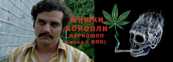 амф Аркадак