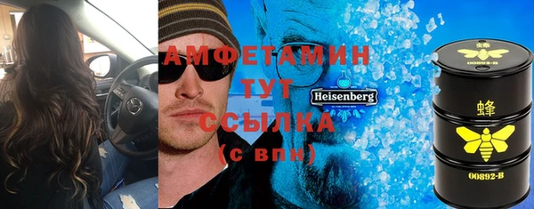 гидра Арсеньев
