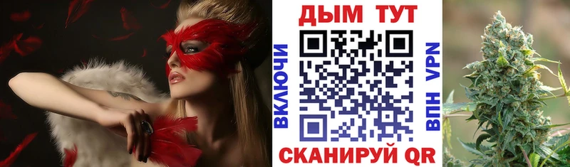Бошки Шишки индика  KRAKEN ТОР  Бабушкин 